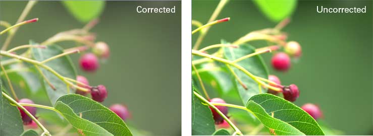 Corrected vs. Uncorrected